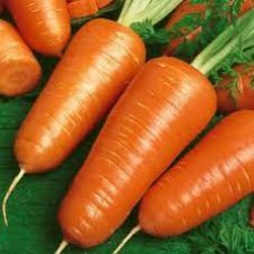 Carrot- Chantenay A couer rouge